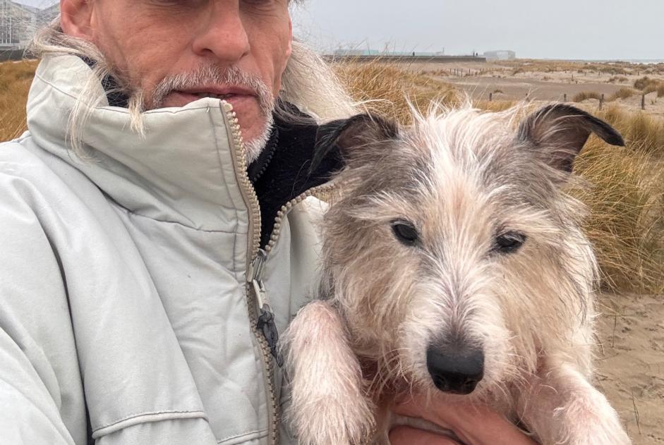 Verdwijningsalarm Hond  Mannetje , 51 jaar PARIS Frankrijk